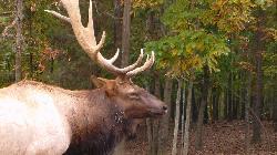 Tropical Smoothie Cafe